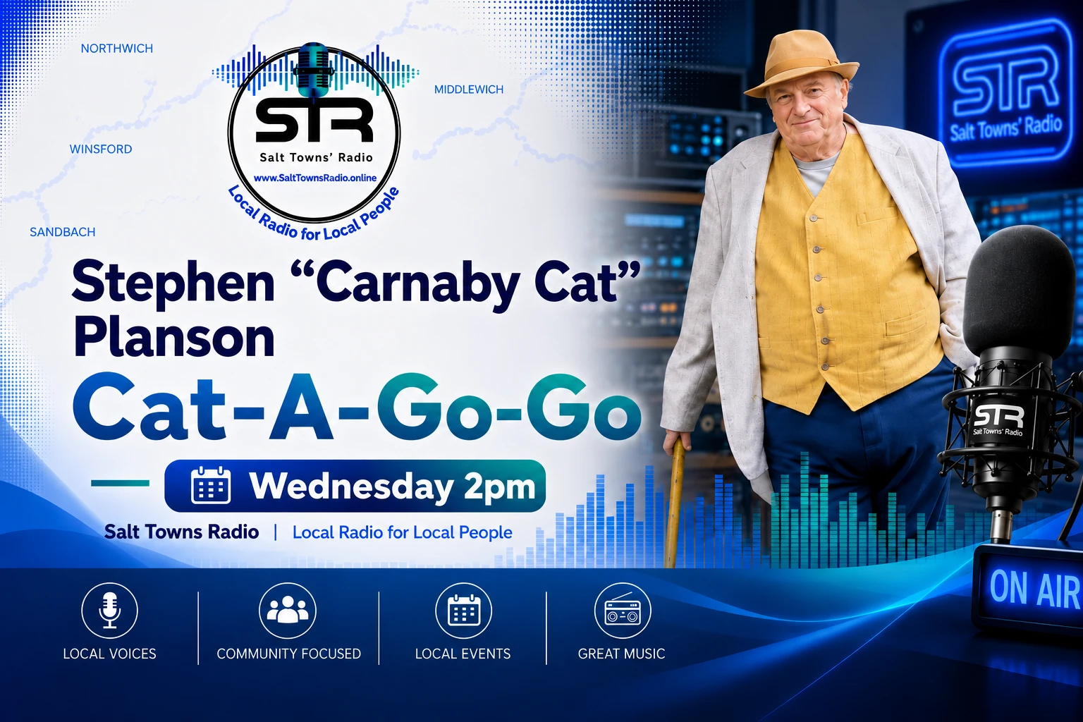 Cat-A-Go-Go